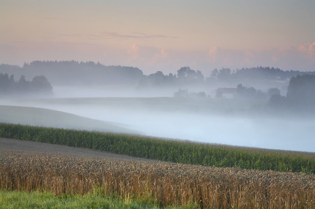 #060202-1 - Farmland in Mist, near Simbach, Germany