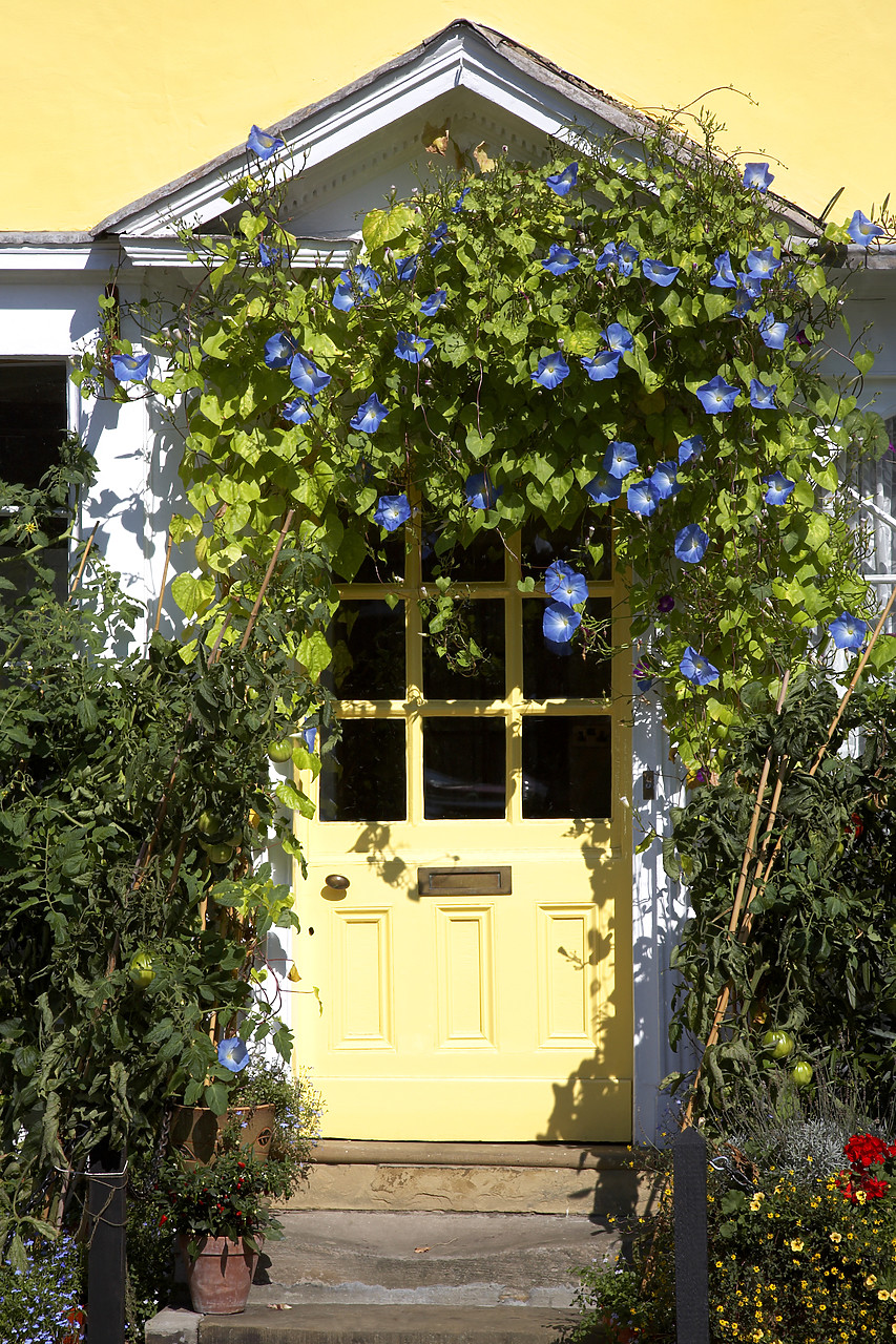 #060216-1 - Yellow Cottage Door, Woodbridge, Suffolk, East Anglia, England
