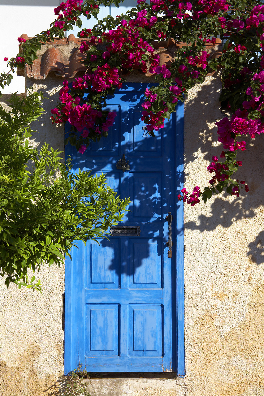 #060312-1 - Blue Door & Bougainvillea, Galaxidi, Greece