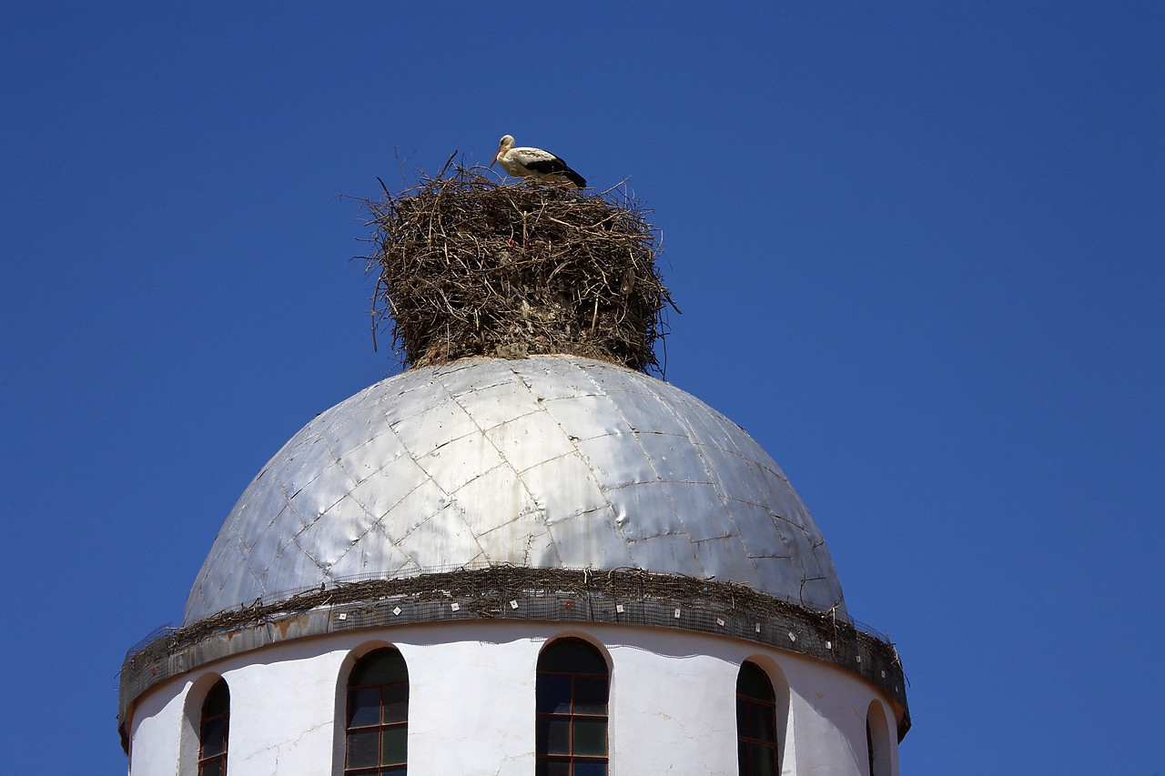 #060318-1 - Stork Nest on Church Tower, Central Greece