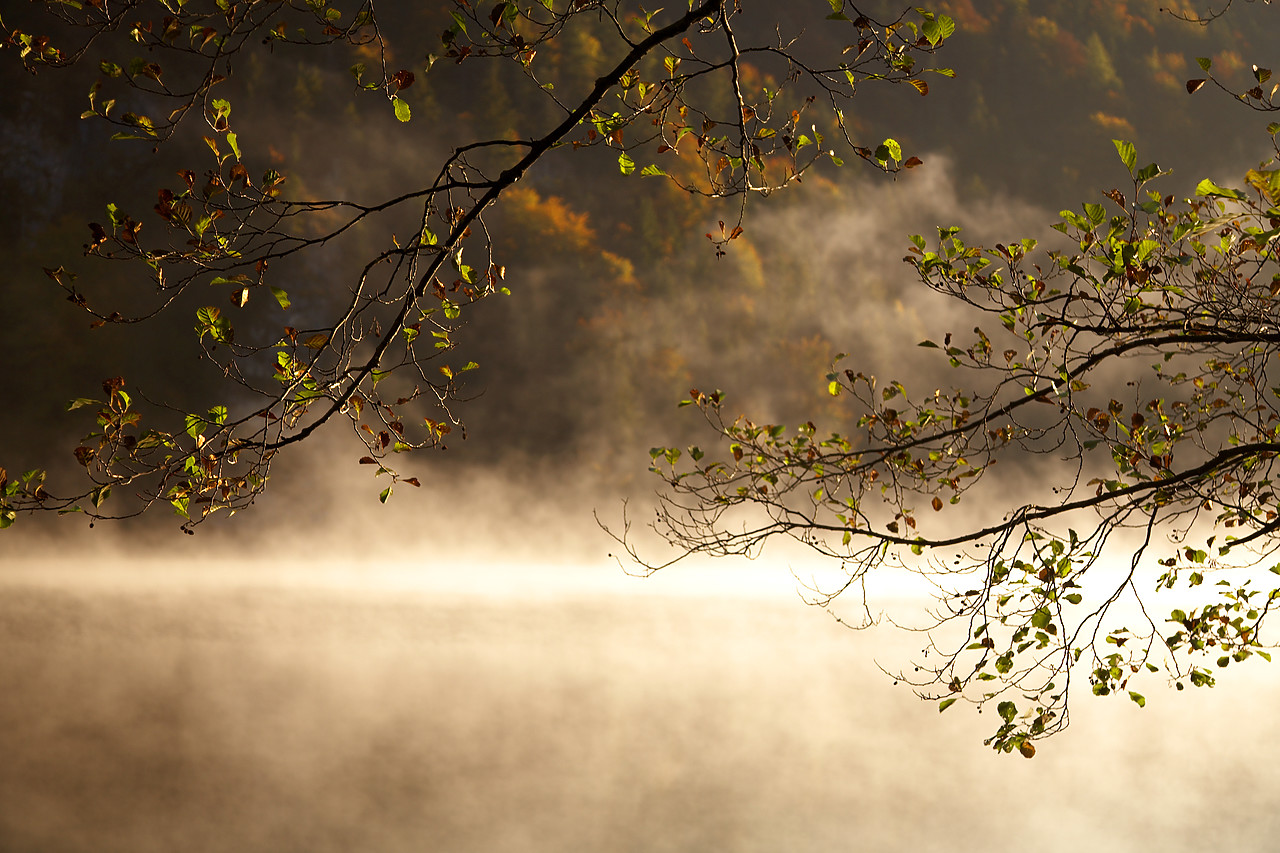 #060530-1 - Autumn Mist on Krottensee, Winkl, Austria