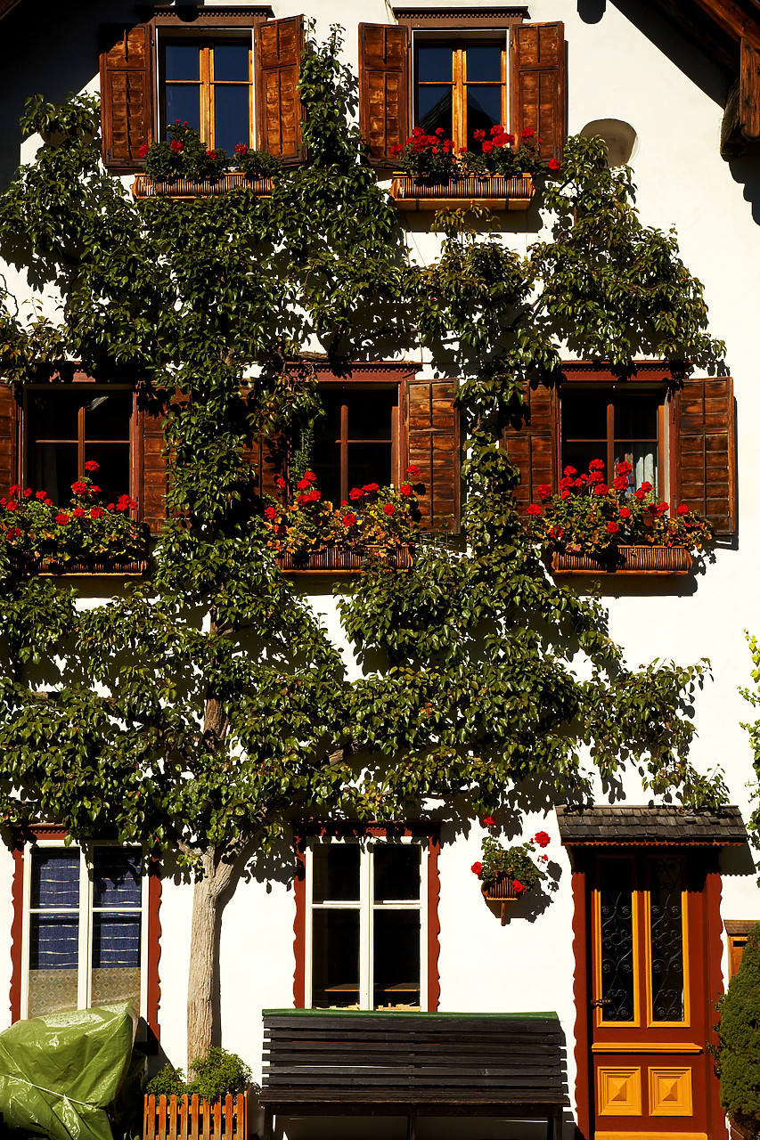 #060541-1 - House in the Grote Markt, Hallstatt, Austria