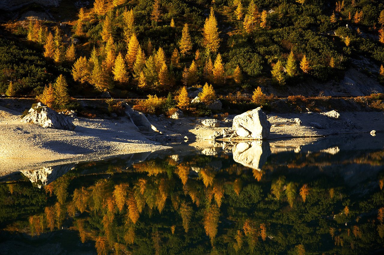 #060578-1 - Pine Trees Reflecting in Lake Fed‡ia, Dolomites, Italy