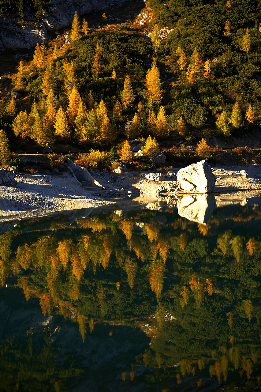#060578-2 - Pine Trees Reflecting in Lake Fed‡ia, Dolomites, Italy