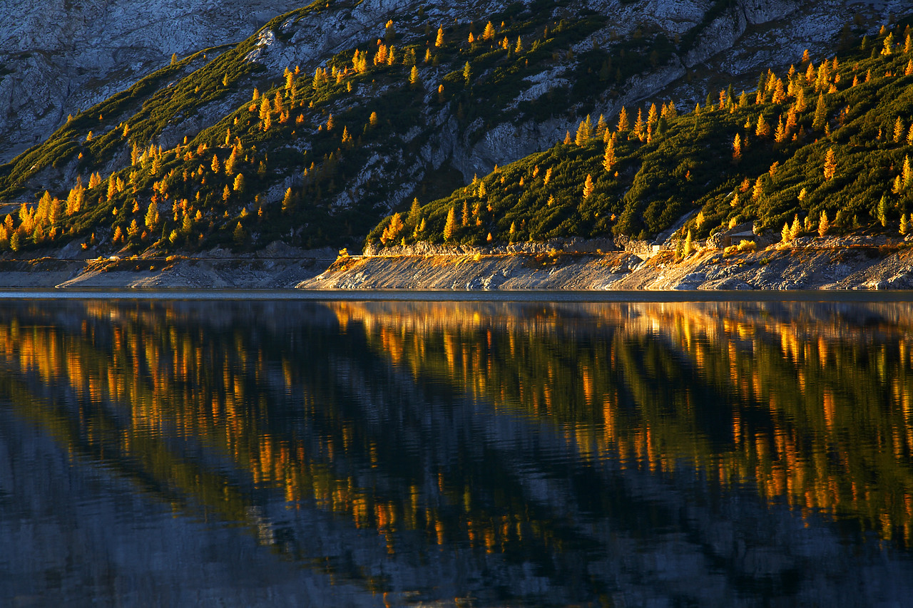 #060579-1 - Pine Trees Reflecting in Lake Fed‡ia, Dolomites, Italy