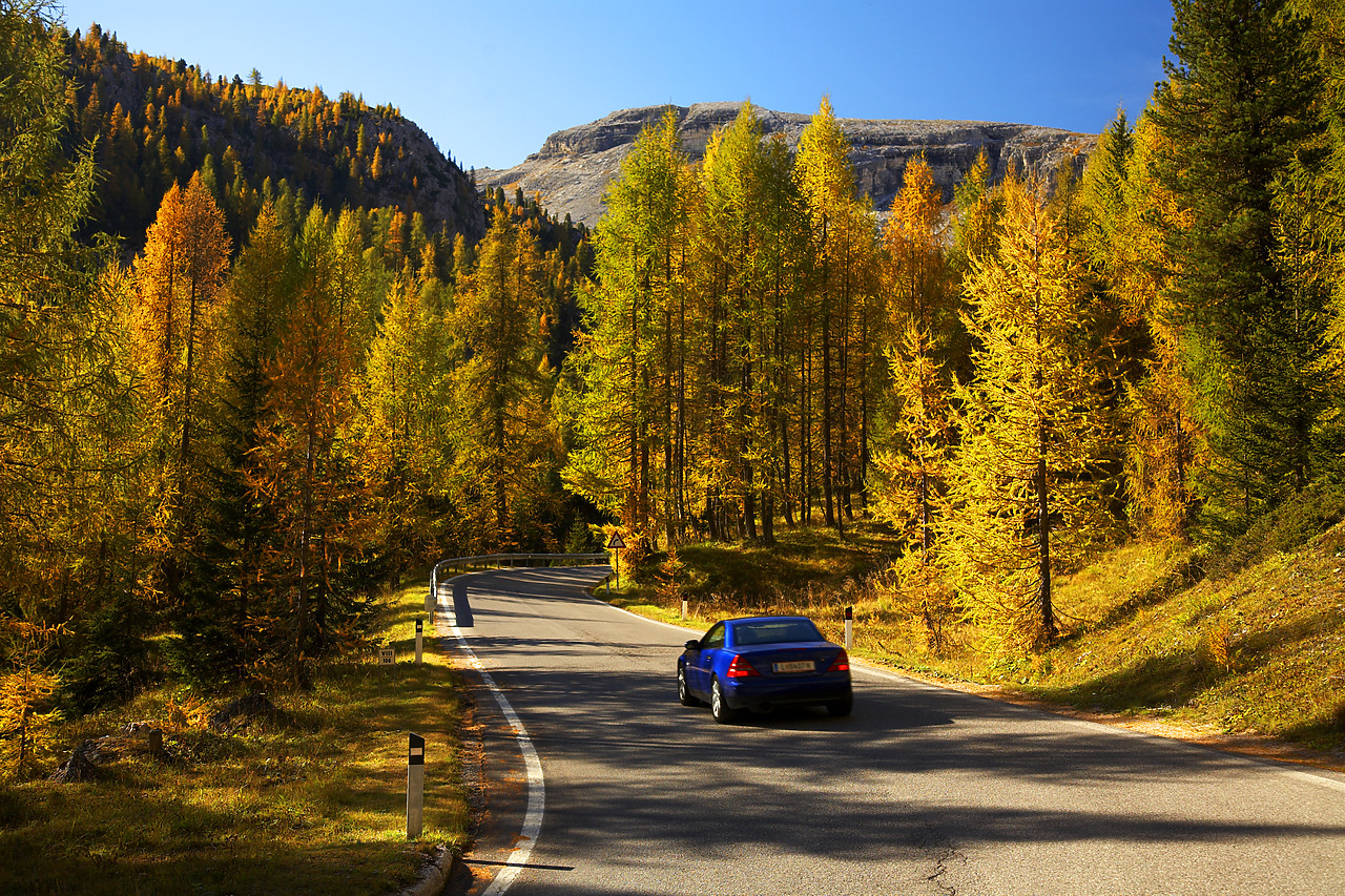 #060587-2 - Car Driving through Pine Forest, Dolomites, Italy