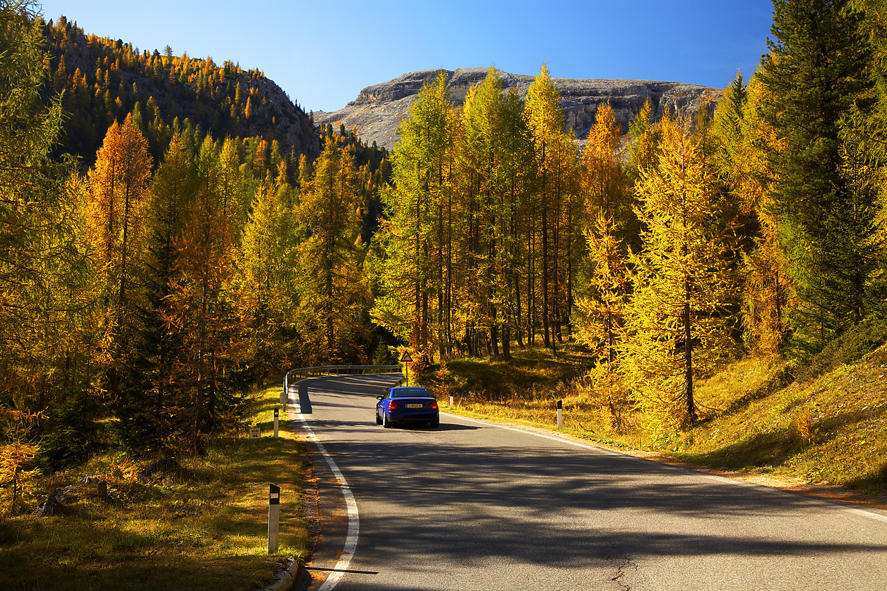 #060587-3 - Car Driving through Pine Forest, Dolomites, Italy