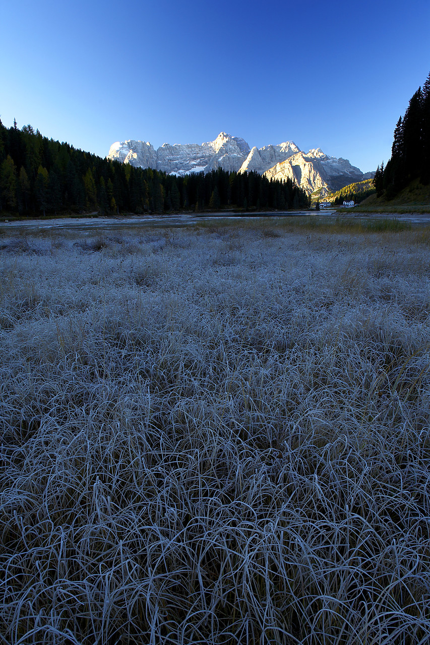 #060621-2 - Frost-covered Grasses, Dolomites, Italy