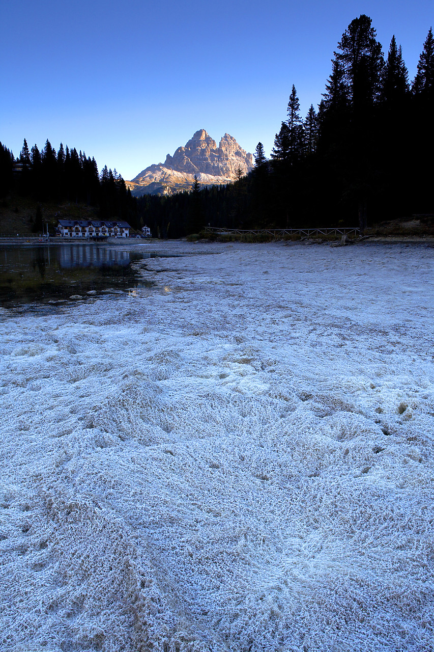 #060629-1 - Frost along Lake Misurina, Dolomites, Veneto, Italy