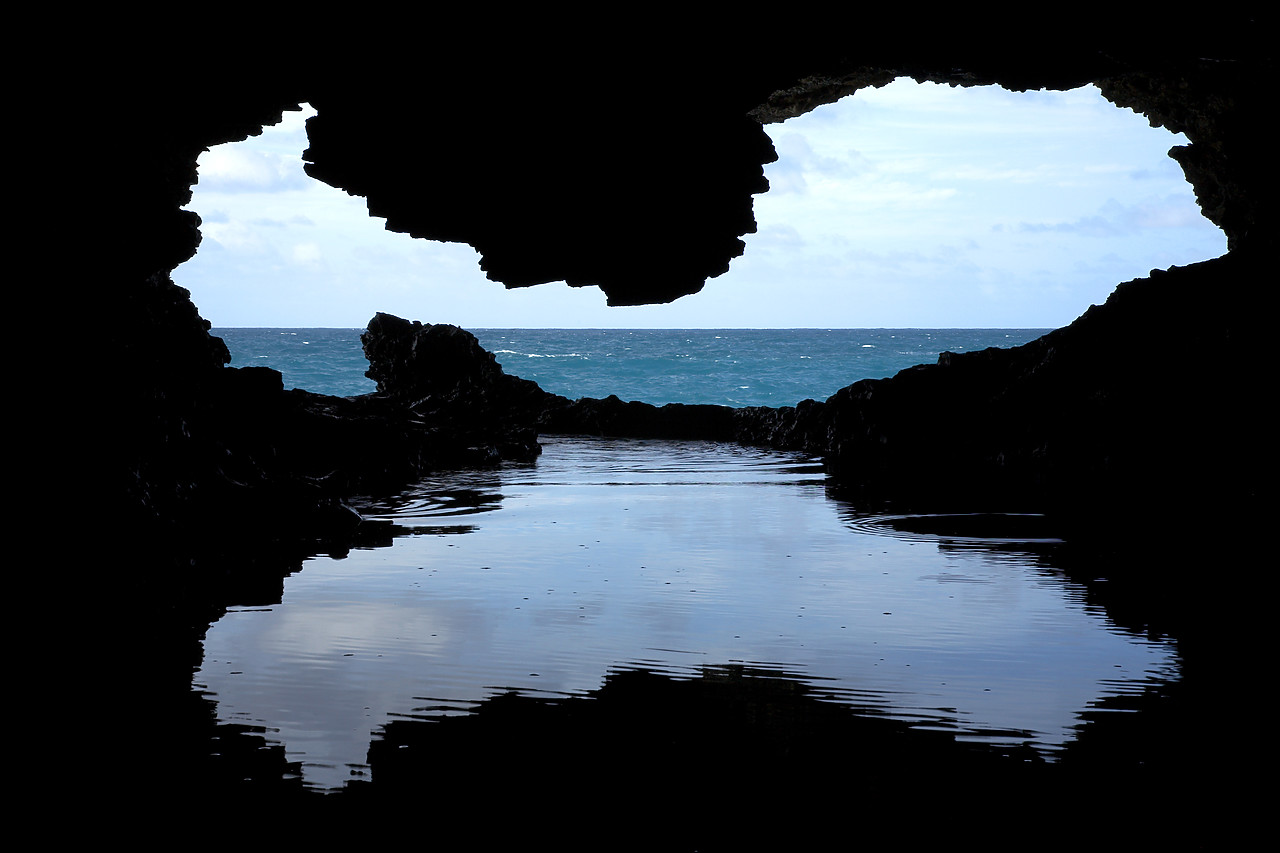 #060666-2 - Animal Flower Cave, Barbados, West Indies