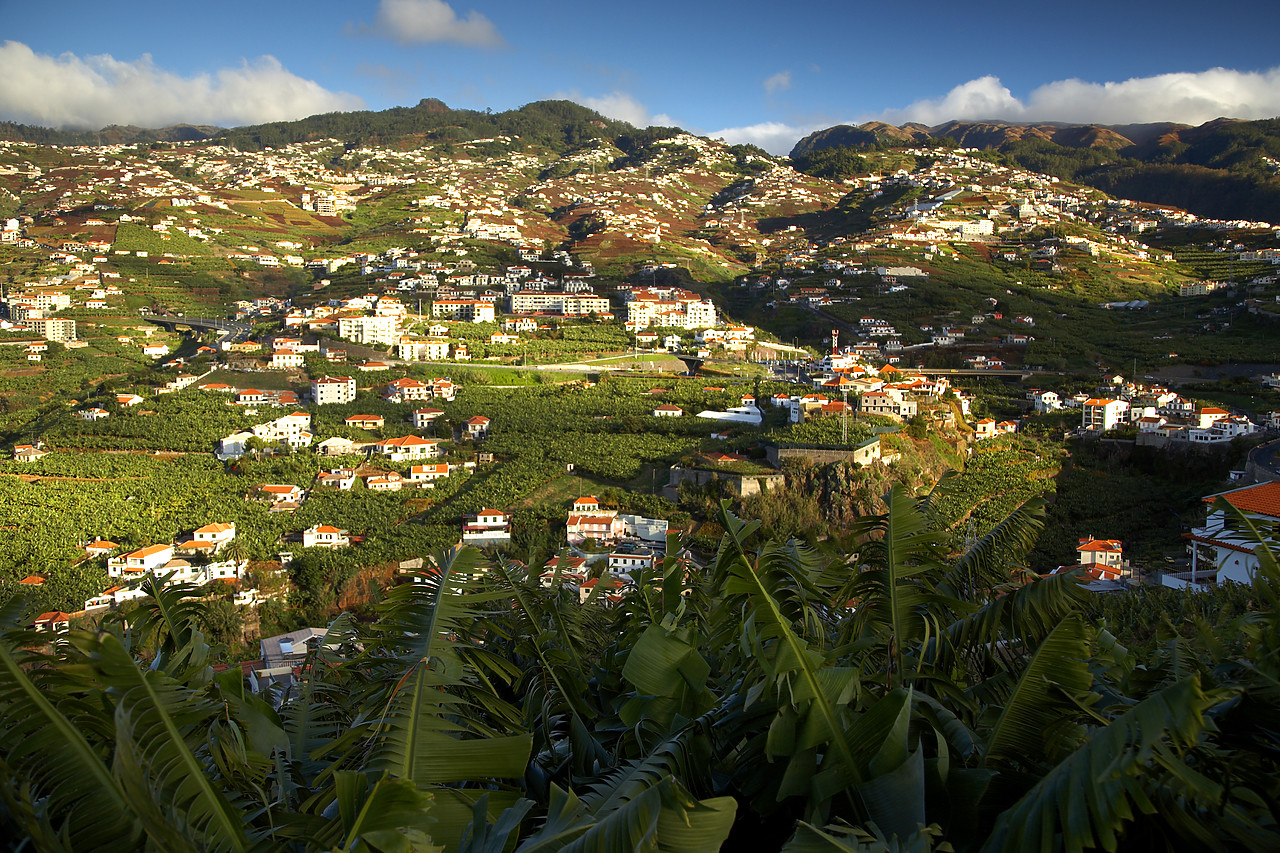 #060688-1 - Houses on Hillside, Madeira