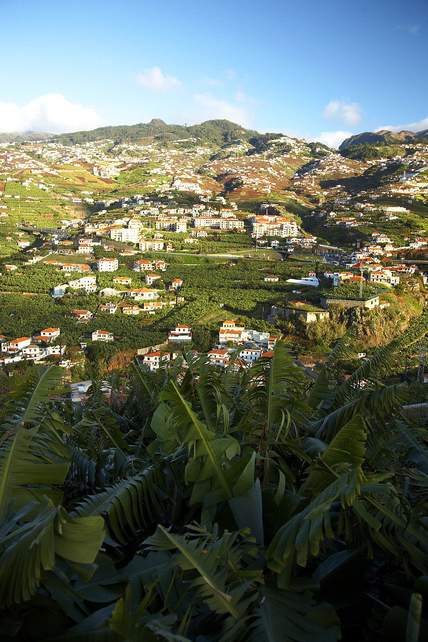 #060688-2 - Houses on Hillside, Madeira