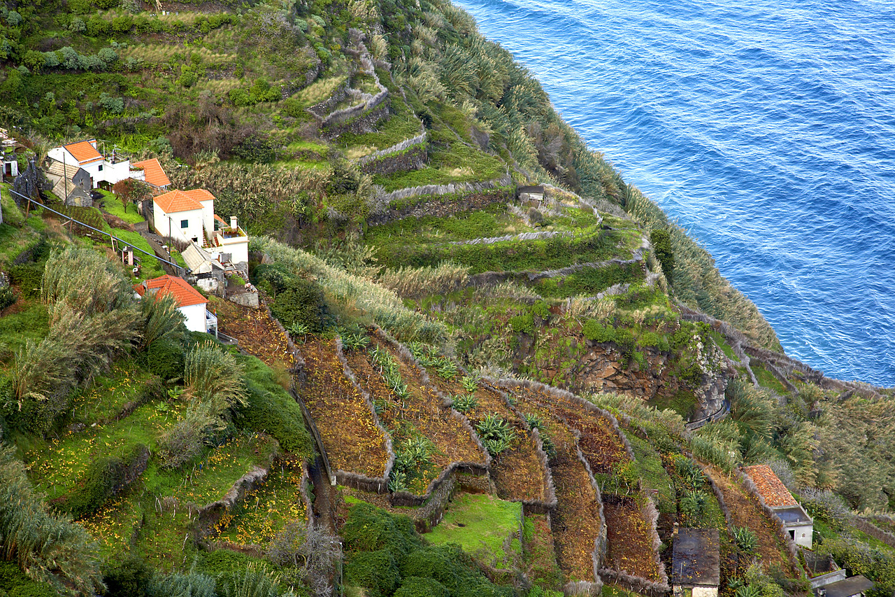 #060689-1 - Traditional Houses on Terraces, Madeira