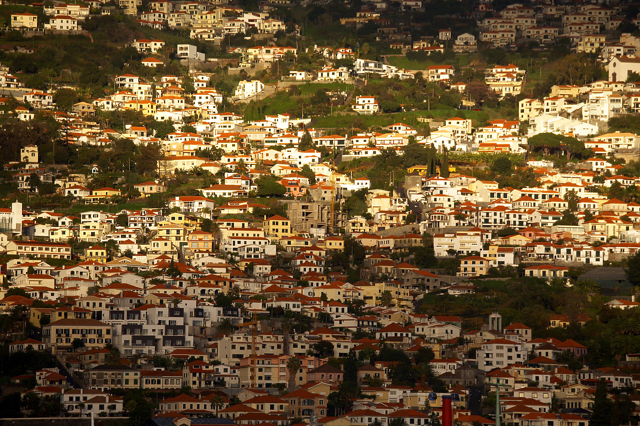 #060692-1 - Hillside of Houses, Madeira