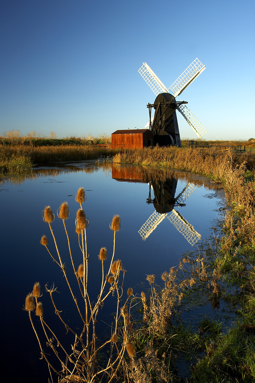 #060758-4 - Herringfleet Windpump Reflecting in Dyke, Suffolk, England