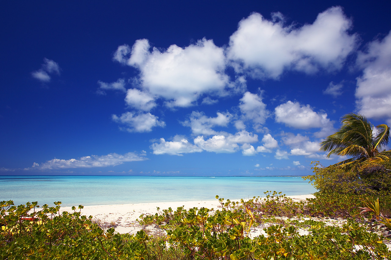 #070006-3 - Beach at Coco Point, Barbuda, Caribbean, West Indies