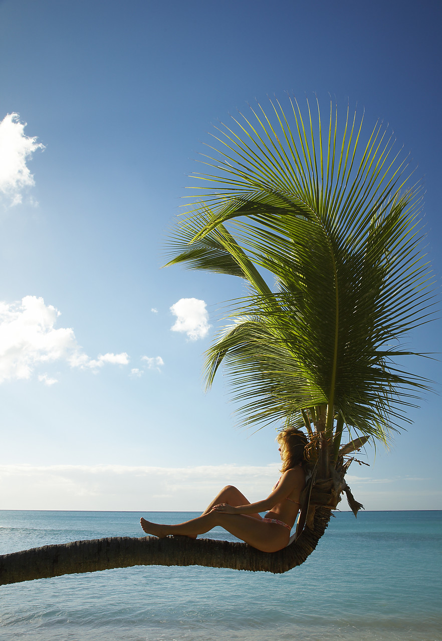 #070050-1 - Woman Sitting on Lateral Palm Tree, Antigua, Caribbean, West Indies