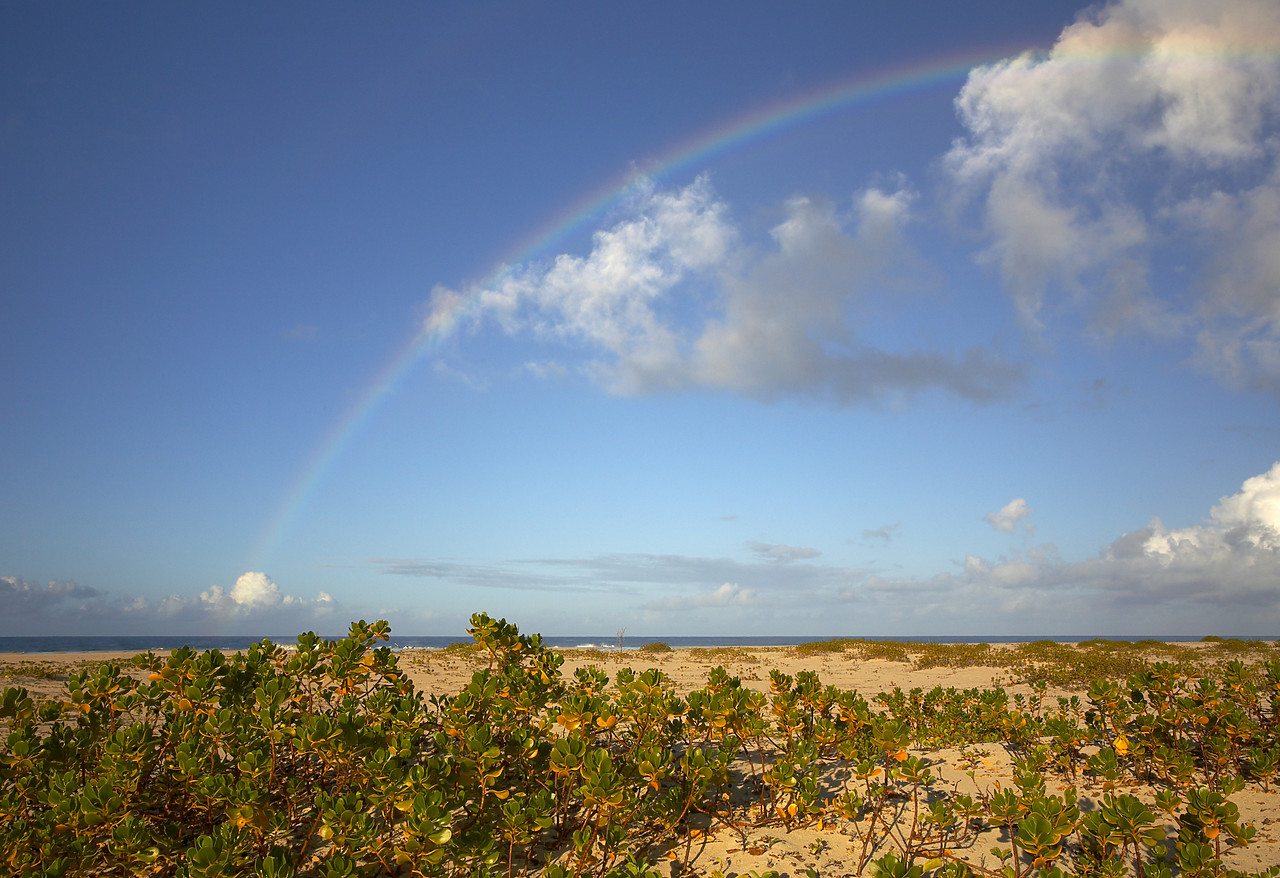 #070060-1 - Rainbow over beach, Barbuda, Caribbean, West Indies