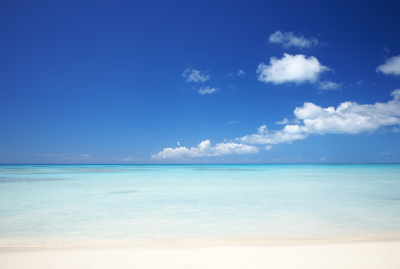 #070066-1 - Pristine Beach at Coco Point, Barbuda, Caribbean, West Indies