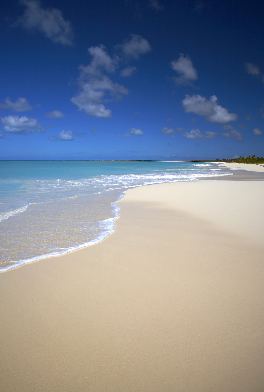 #070068-2 - Pristine White Sandy Beach, Barbuda, Caribbean, West Indies