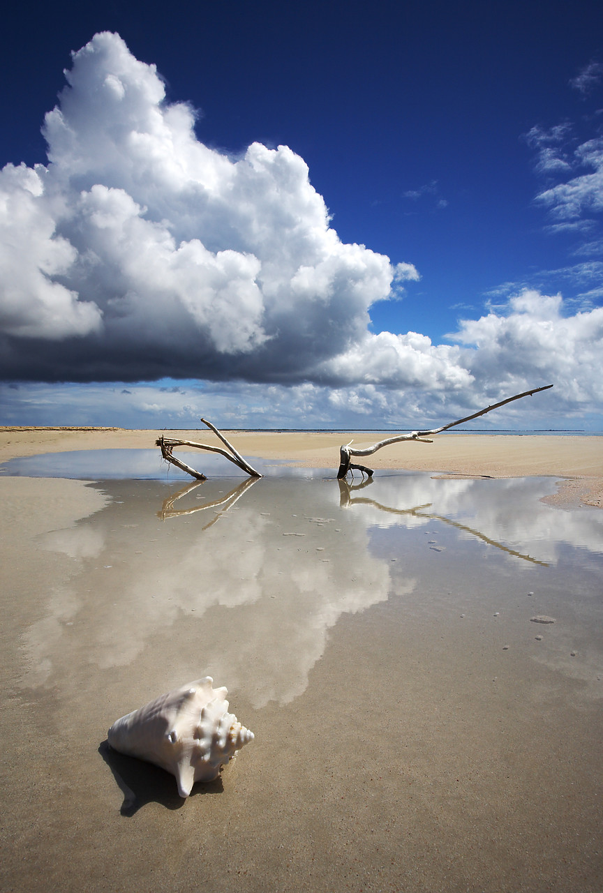 #070085-2 - Clouds Reflecting in Tide Pool with Conch Shell, Barbuda, Caribbean, West Indies