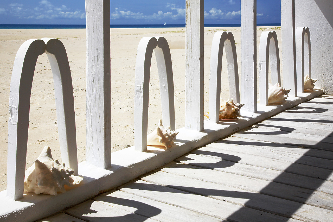 #070092-1 - Seashells on Beach House Deck, Barbuda, Caribbean, West Indies