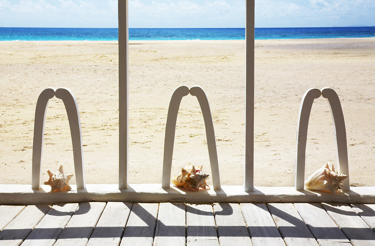 #070093-1 - Seashells on Beach House Deck, Barbuda, Caribbean, West Indies