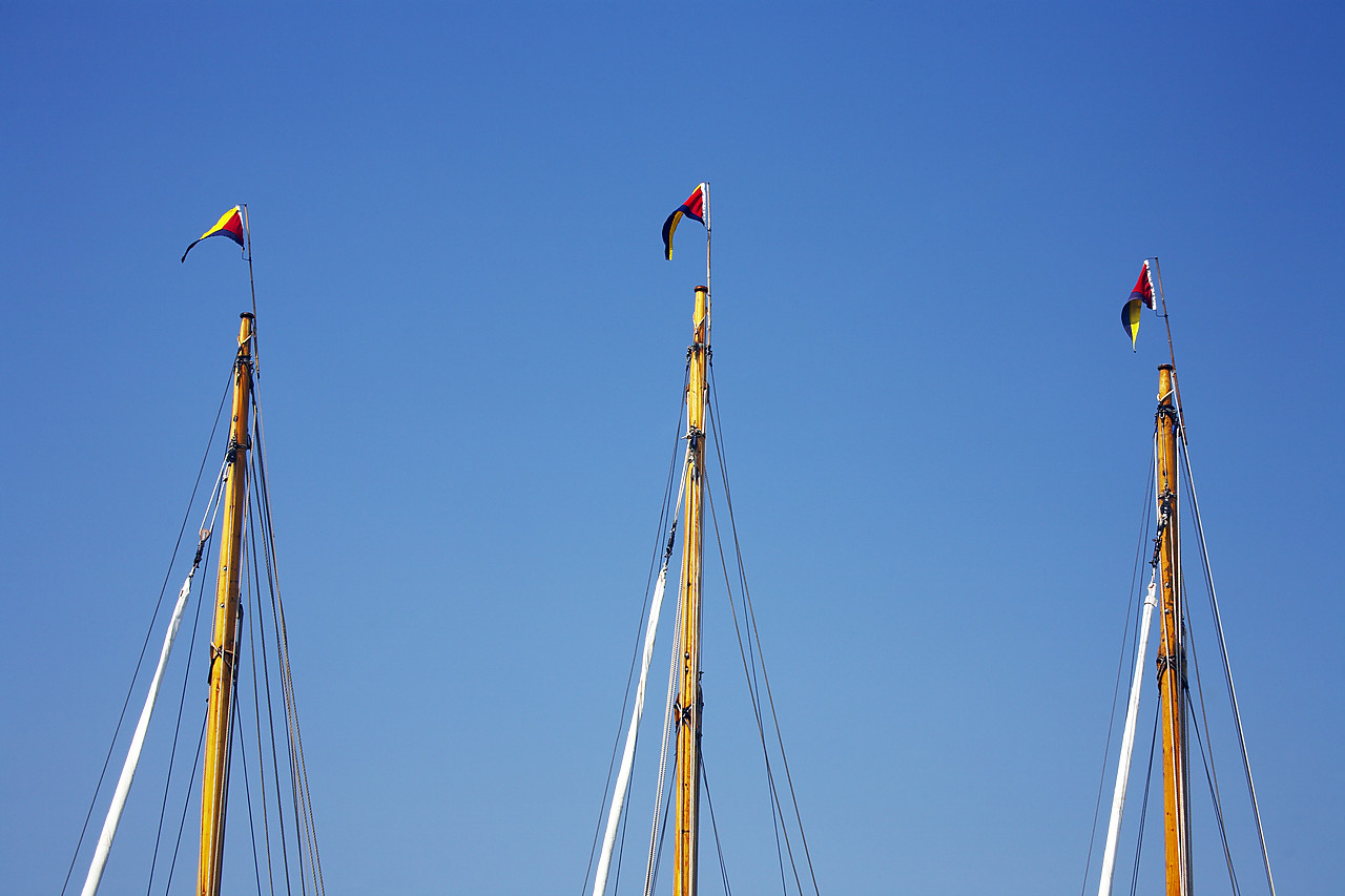 #070125-1 - Sailboat Masts, Norfolk Broads National Park, Norfolk, England