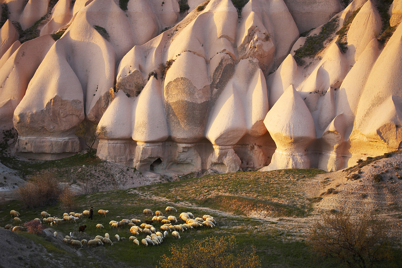 #070187-1 - Tufa Formations, Uchisar, Cappadocia, Turkey