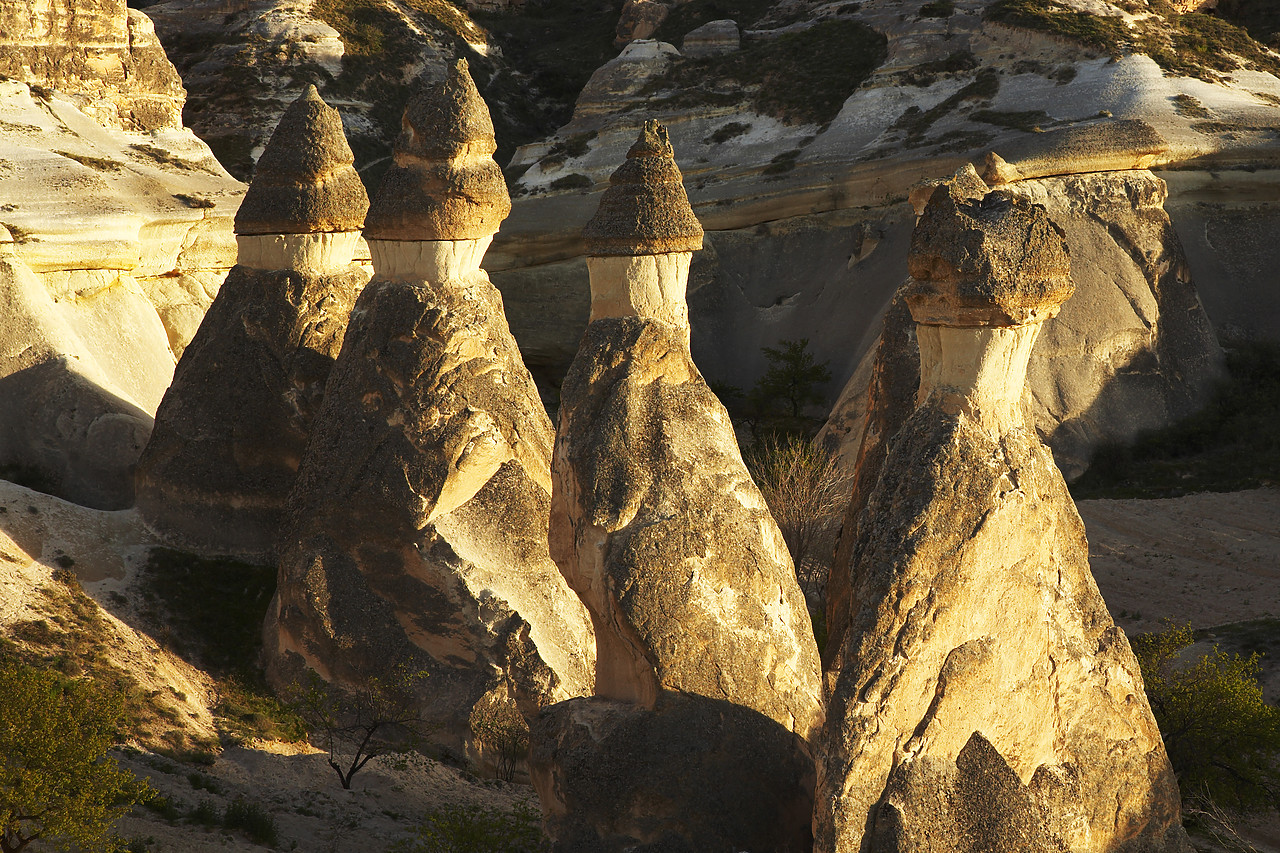 #070210-1 - Fairy Chimneys, Pasabagi, Cappadocia, Turkey