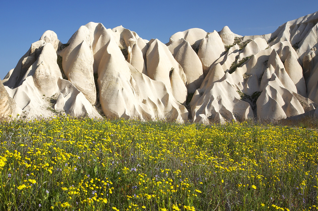 #070211-1 - Wildflowers & Eroded Tufa Formations, near Goreme, Cappadocia, Turkey