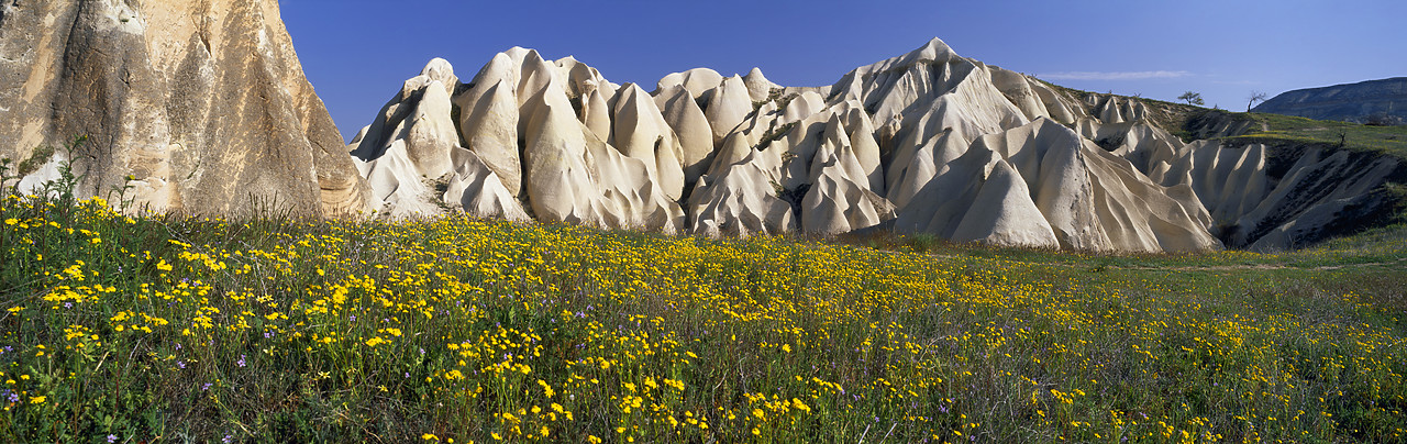#070211-2 - Wildflowers & Eroded Tufa Formations, near Goreme, Cappadocia, Turkey