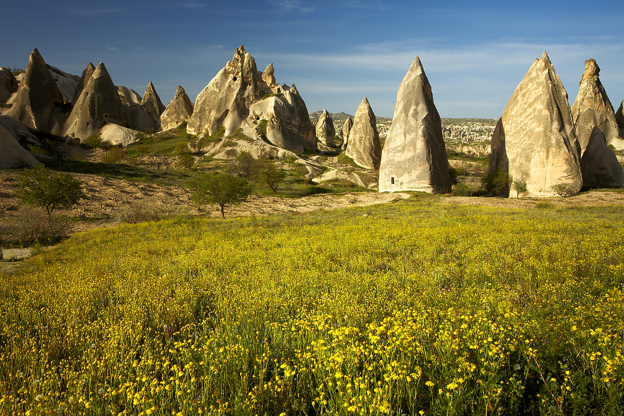 #070212-1 - Wildflowers & Eroded Tufa Formations, near Goreme, Cappadocia, Turkey