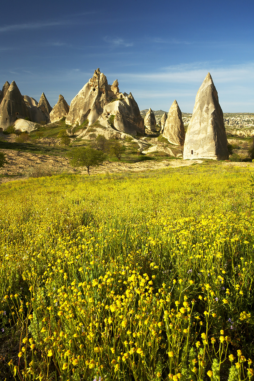 #070212-2 - Wildflowers & Eroded Tufa Formations, near Goreme, Cappadocia, Turkey