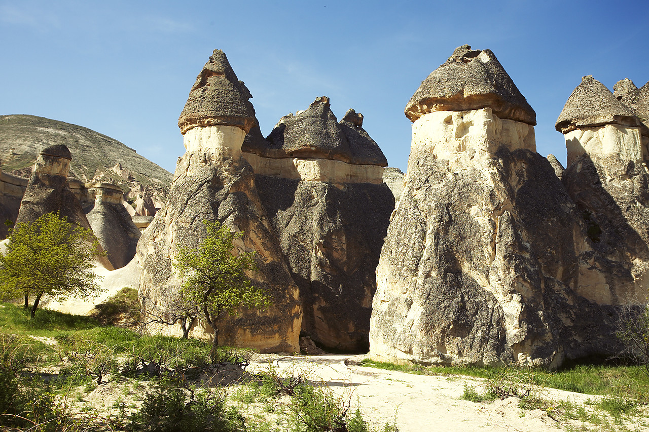 #070215-1 - Fairy Chimneys, Pasabagi, Cappadocia, Turkey