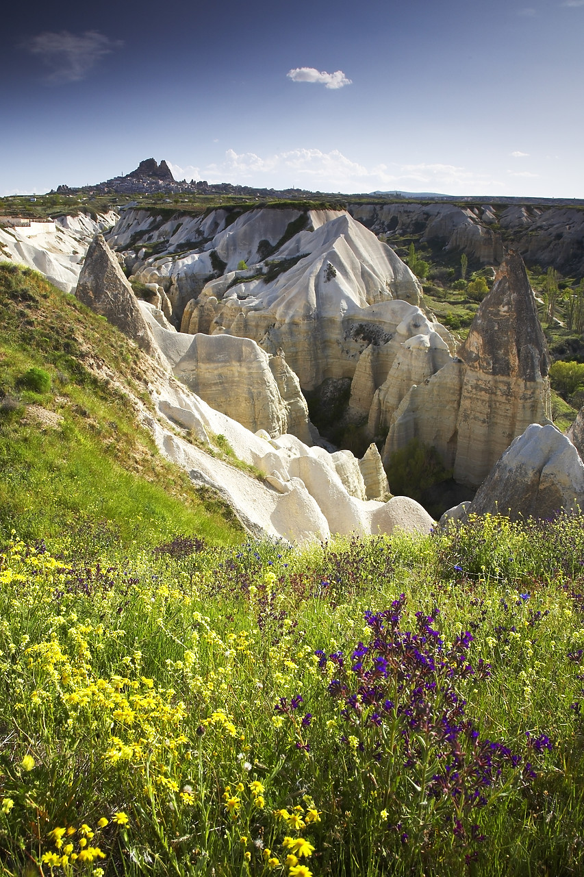 #070220-1 - Wildflowers & Eroded Valley, near Uchisar, Cappadocia, Turkey