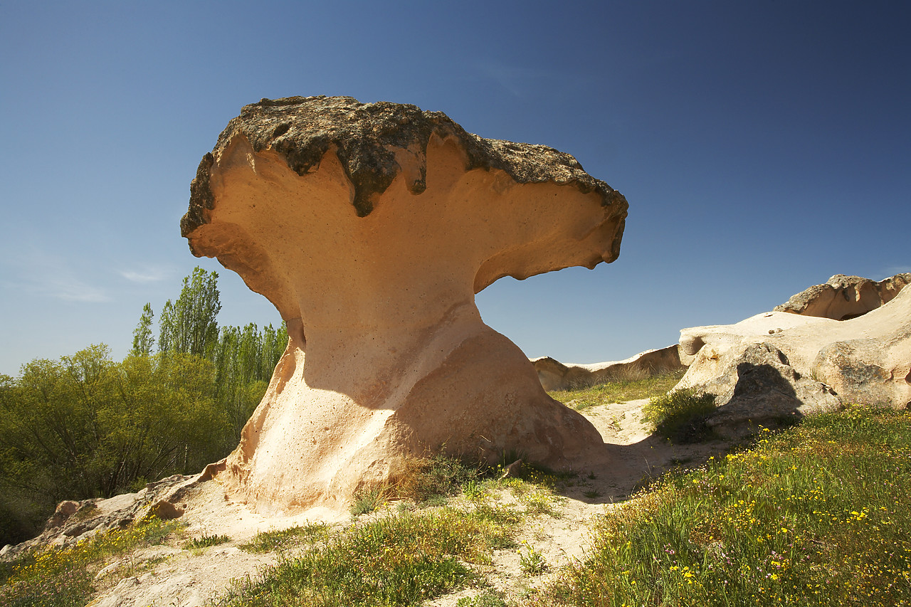 #070237-1 - Mushroom Rock Formation, near Gulsehir, Cappadocia, Turkey