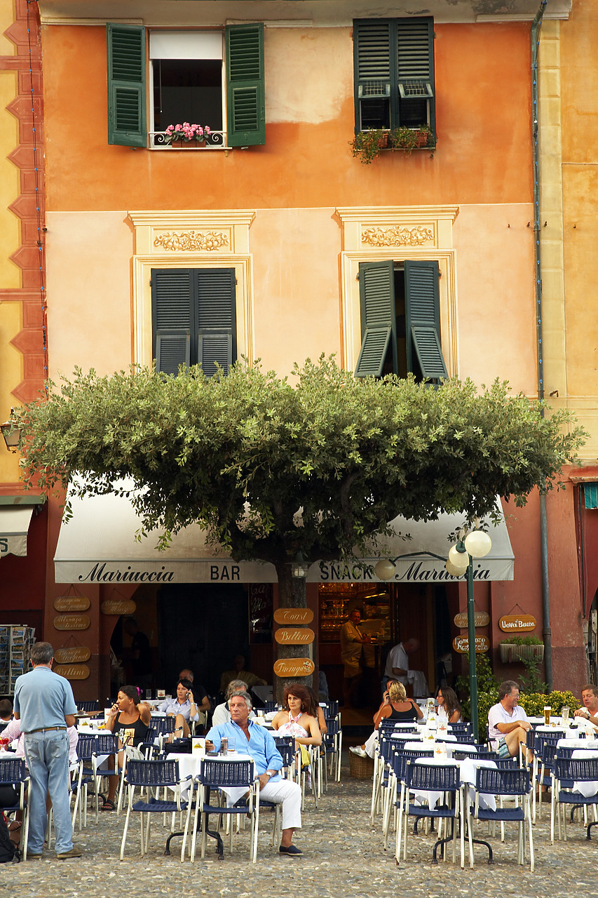 #070283-1 - Cafe & Tree, Portofino, Liguria, Italy