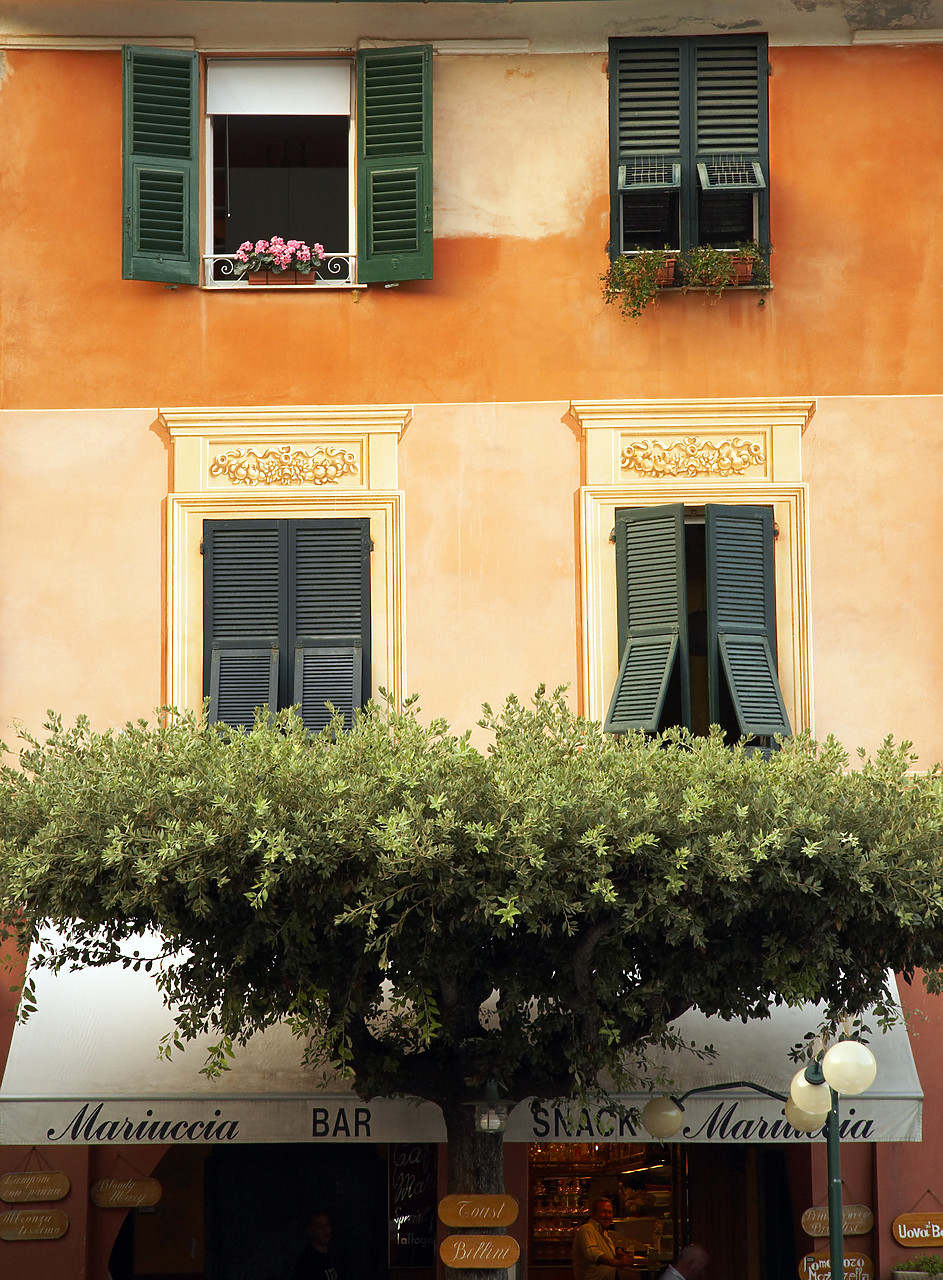 #070283-2 - Windows & Tree, Portofino, Liguria, Italy