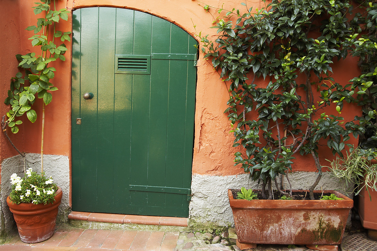 #070287-1 - Green Door, Lerici, Liguria, Italy