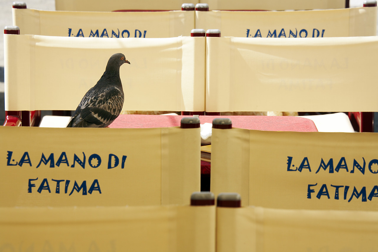 #070292-1 - Pigeon & Chairs, Lerici, Liguria, Italy