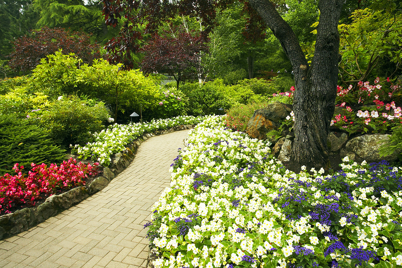 #070308-1 - The Sunken Garden, Butchart Gardens, Victoria, Vancouver Island, British Columbia, Canada