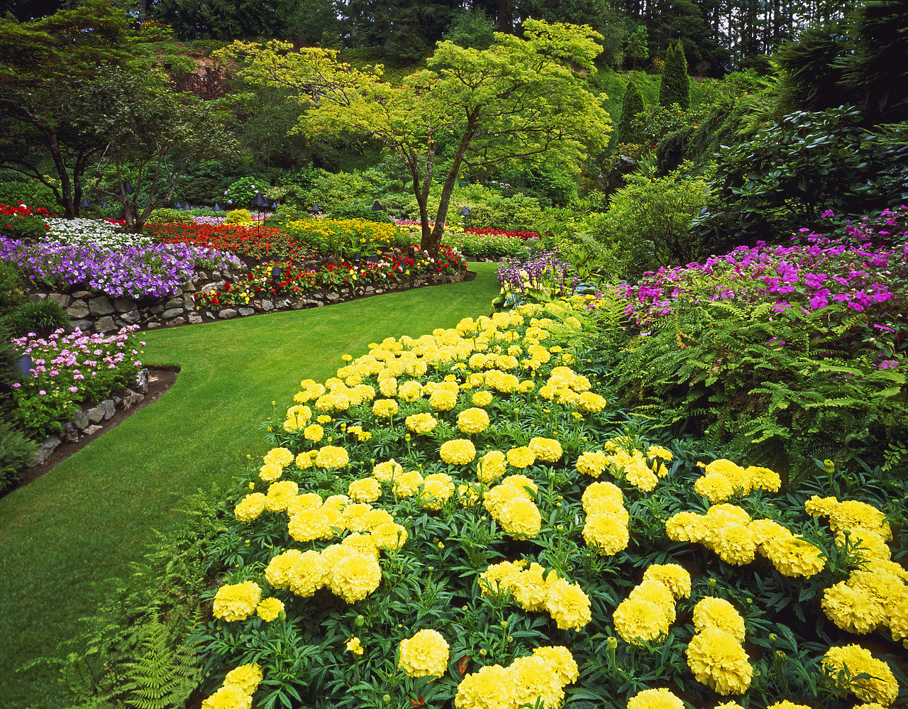 #070310-1 - The Sunken Garden, Butchart Gardens, Victoria, Vancouver Island, British Columbia, Canada