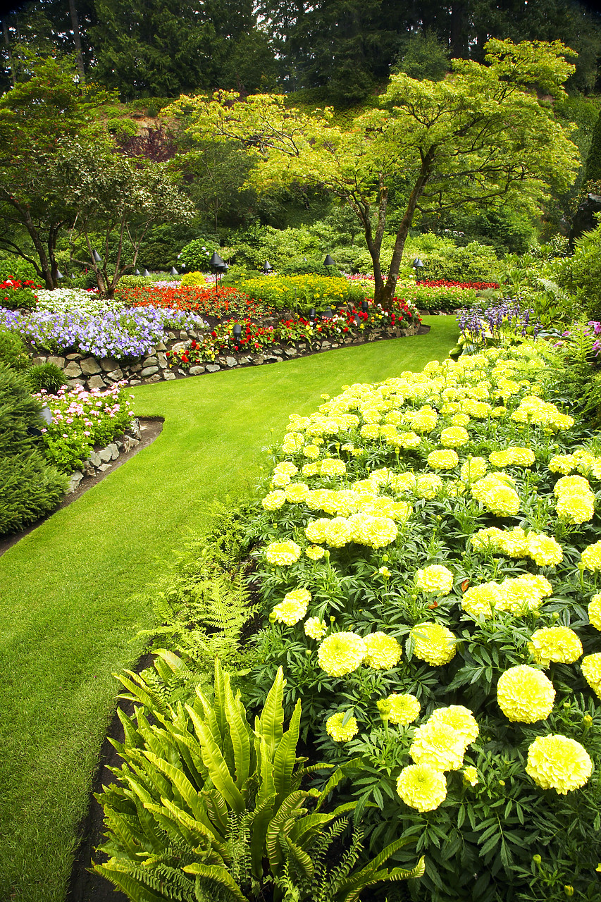 #070310-2 - The Sunken Garden, Butchart Gardens, Victoria, Vancouver Island, British Columbia, Canada