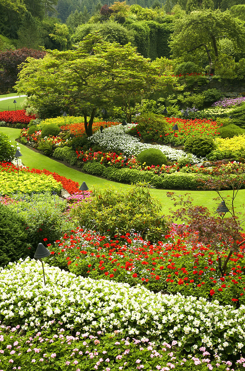 #070312-2 - The Sunken Garden, Butchart Gardens, Victoria, Vancouver Island, British Columbia, Canada