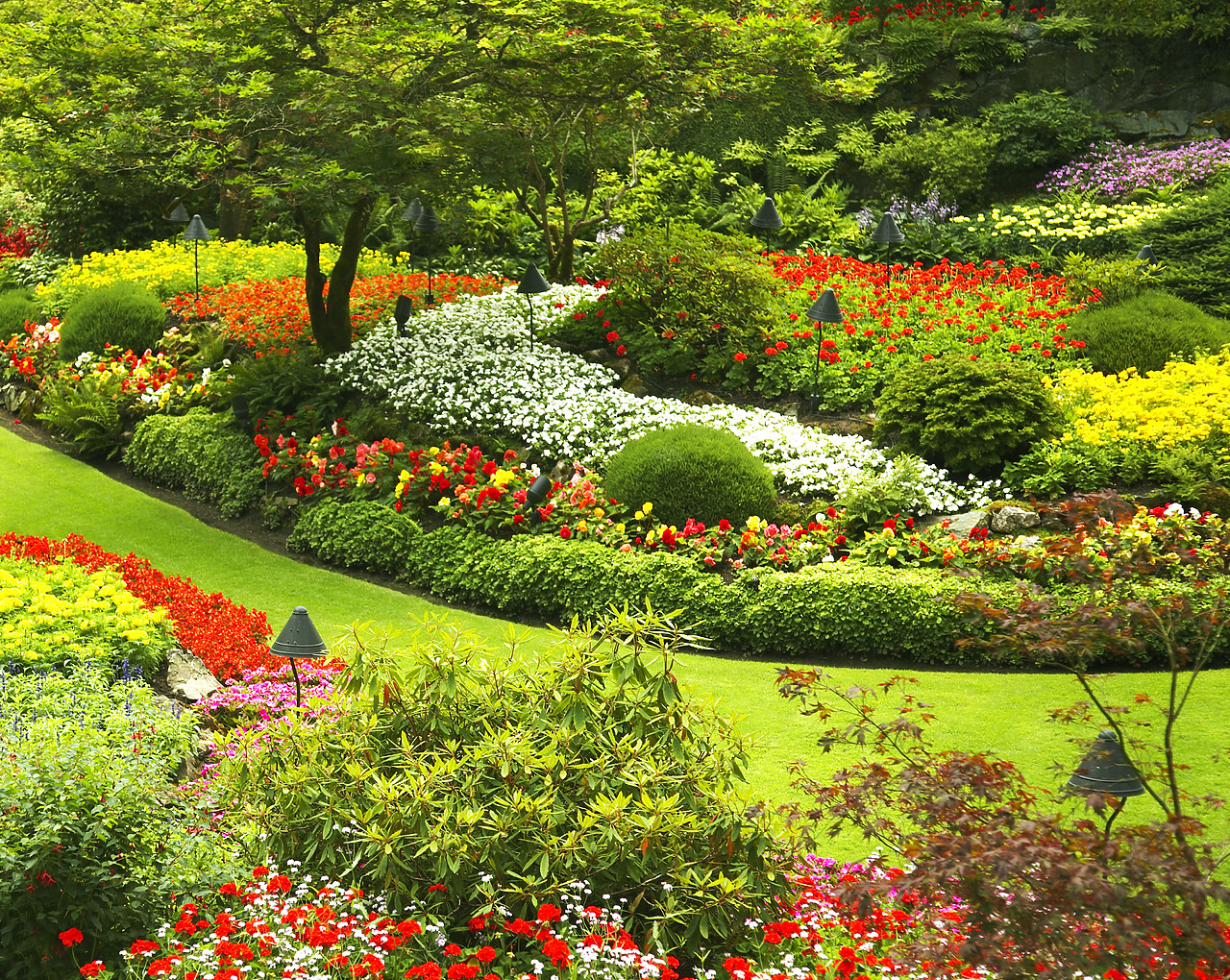 #070312-3 - The Sunken Garden, Butchart Gardens, Victoria, Vancouver Island, British Columbia, Canada