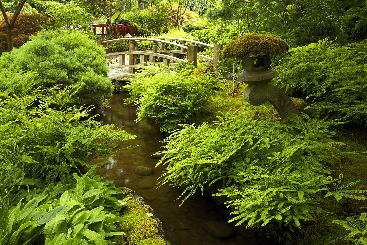 #070315-1 - Japanese Garden, Butchart Gardens, Victoria, Vancouver Island, British Columbia, Canada