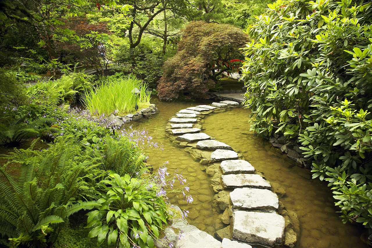 #070316-1 - Japanese Garden, Butchart Gardens, Victoria, Vancouver Island, British Columbia, Canada