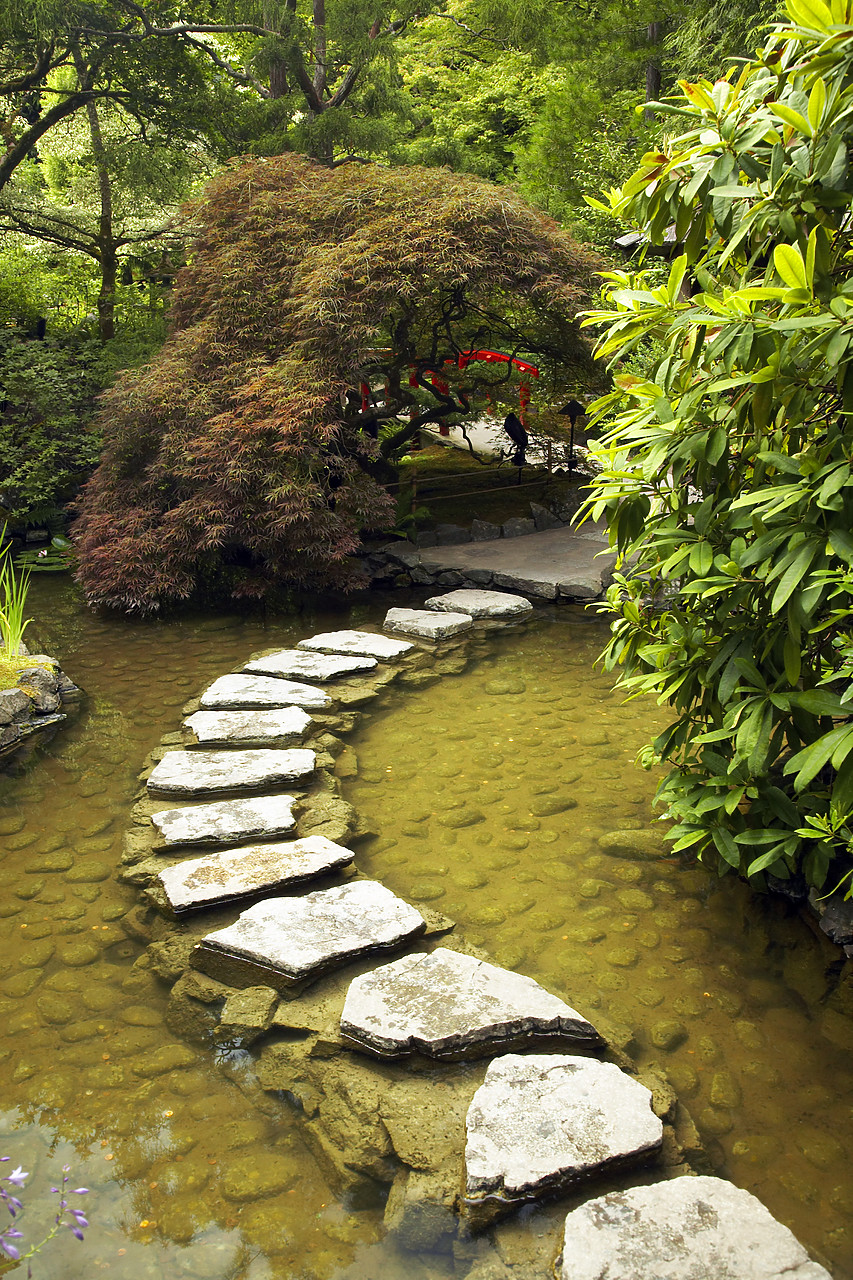 #070316-2 - Japanese Garden, Butchart Gardens, Victoria, Vancouver Island, British Columbia, Canada