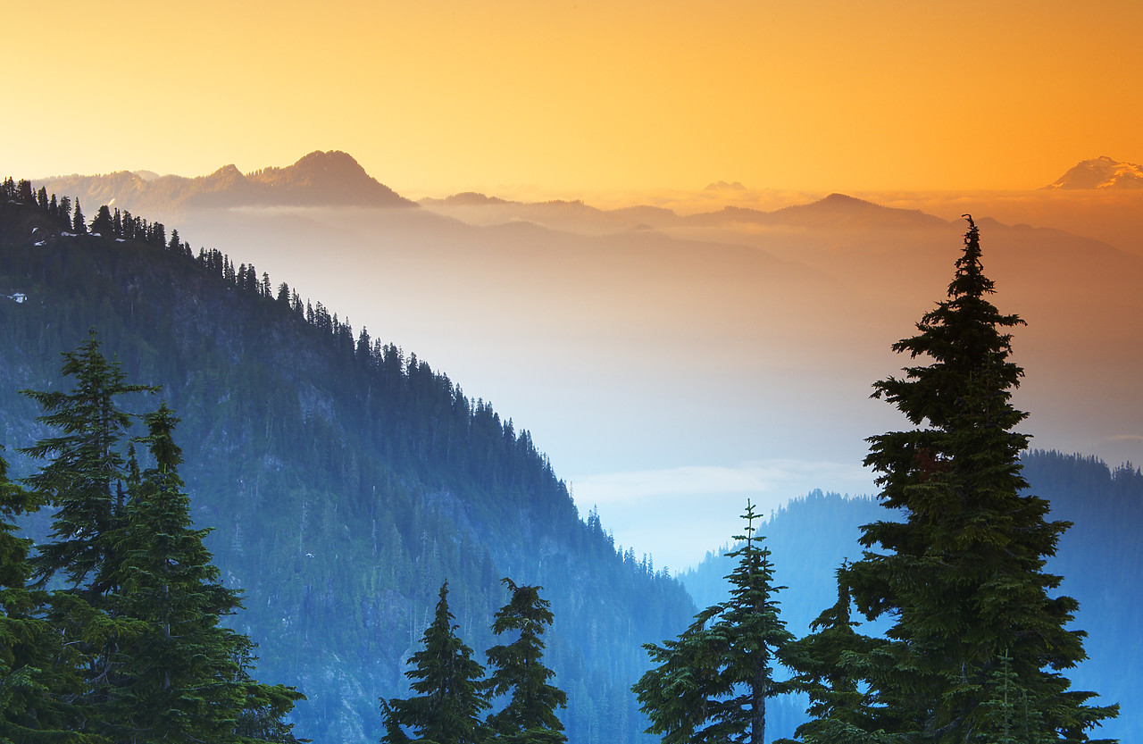 #070325-1 - Low Cloud over Mount Baker National Forest, Washington, USA